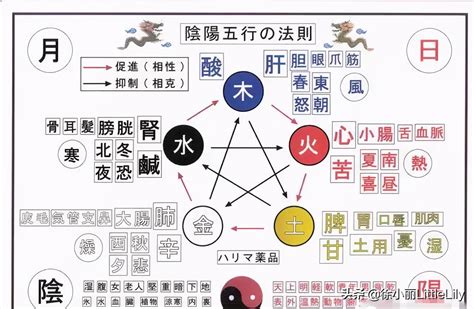 強金 強水|五行屬性查詢表（五臟、人體、婚配五行屬性對照表）